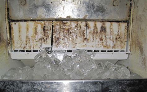 Can bacteria grow in ice machines?