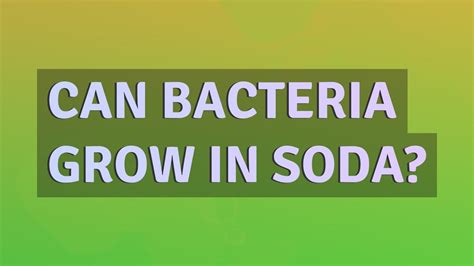 Can bacteria grow in soda?