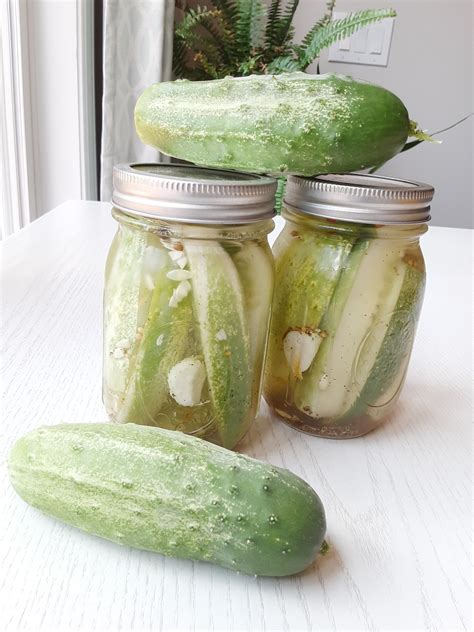 Can bacteria grow on pickles?