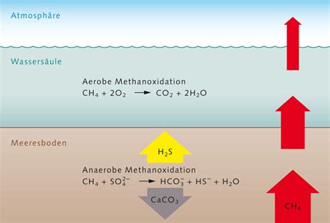 Can bacteria survive in methane?