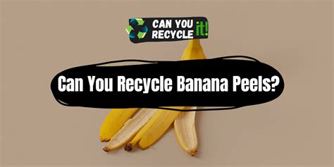 Can banana peels be recycled?