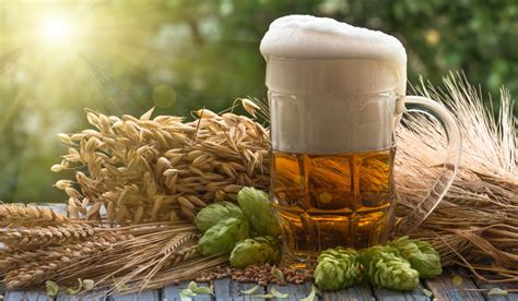 Can beer be made without grains?
