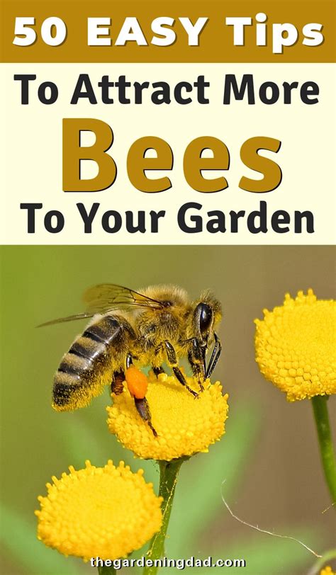 Can bees be attracted to you?