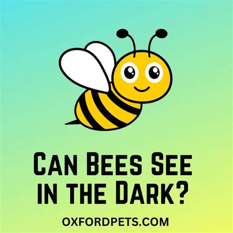 Can bees see if you don't move?