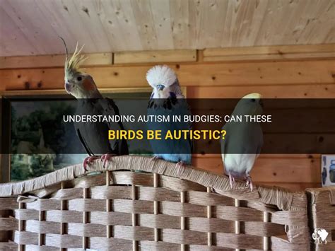 Can birds be autistic?
