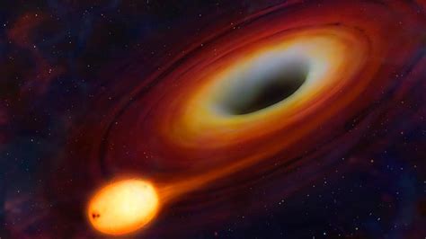 Can black holes sleep?