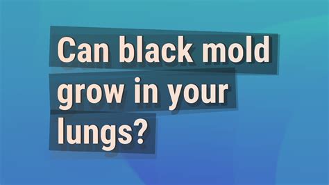 Can black mold grow in your lungs?