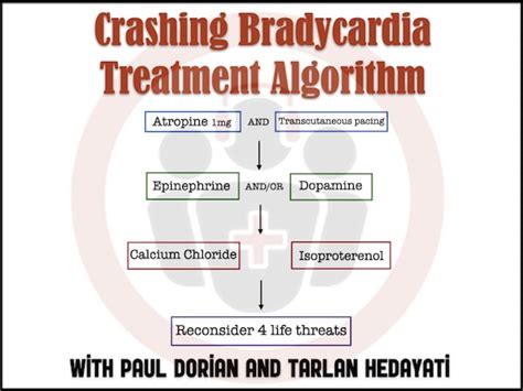 Can bradycardia be cured?