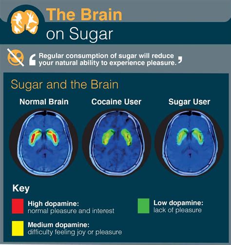 Can brain damage from sugar be reversed?