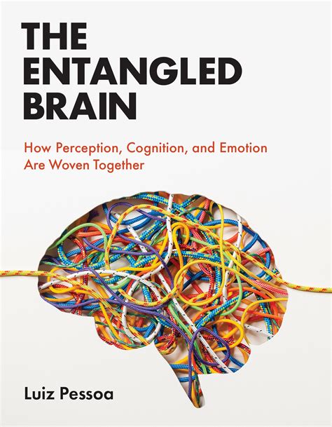 Can brains be entangled?