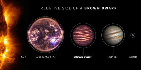 Can brown dwarfs have life?