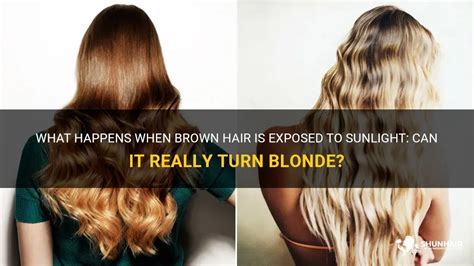 Can brown hair turn blonde in the sun?