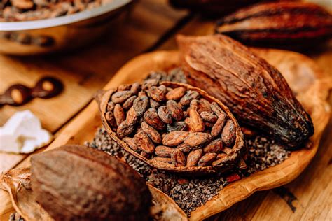 Can cacao be eaten raw?