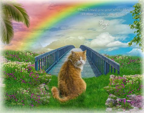 Can cats cross the Rainbow Bridge?