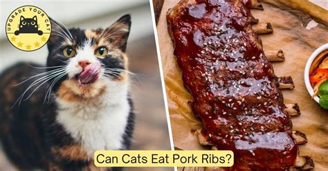 Can cats eat pork?