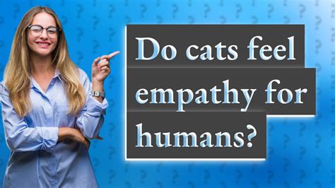 Can cats feel empathy towards humans?