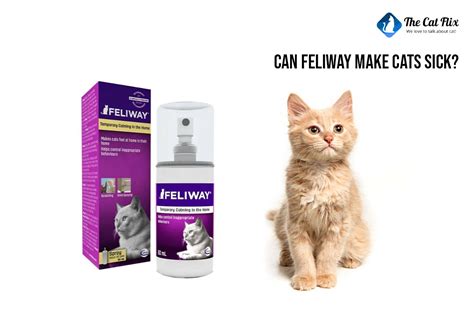 Can cats get sick from Feliway?