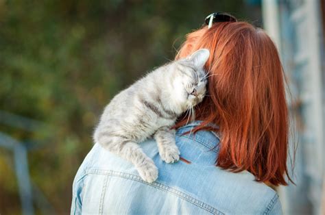 Can cats get too attached to their owners?