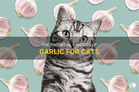 Can cats have garlic?