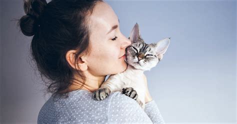 Can cats sense good person?