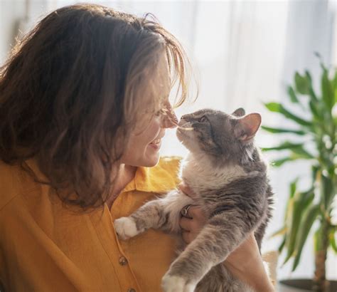 Can cats smell a good person?