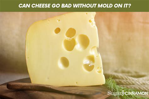 Can cheese go bad without mold?