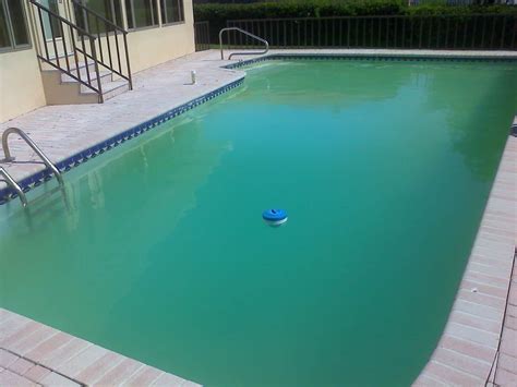 Can chlorine turn a pool green?