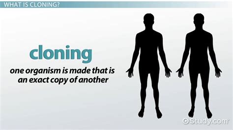 Can cloning be good?