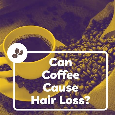 Can coffee cause hair fall?