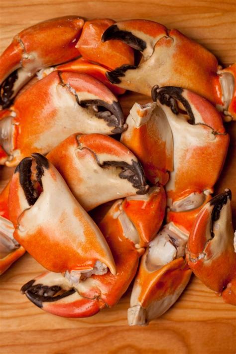 Can crabs eat without claws?