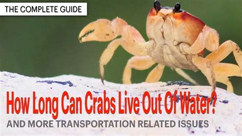 Can crabs live in distilled water?