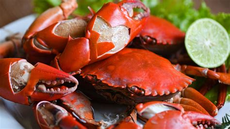 Can crabs survive heat?