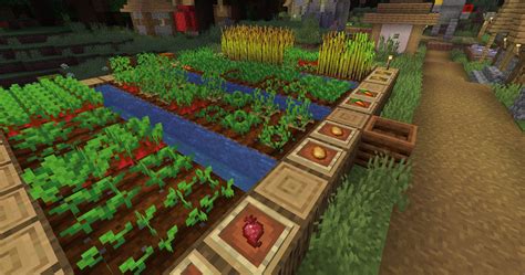 Can crops grow with glowstone?
