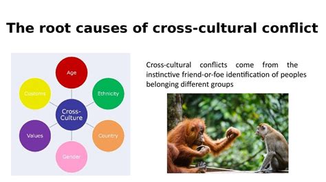 Can cultural differences cause conflict?