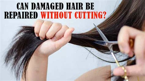 Can damaged hair be repaired without cutting?