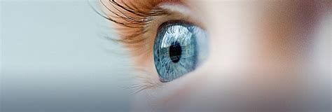 Can damaged retina repair itself?