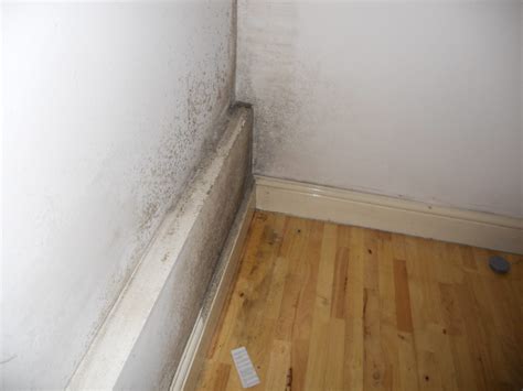 Can damp be caused by cold?