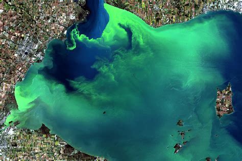 Can dead zones recover?