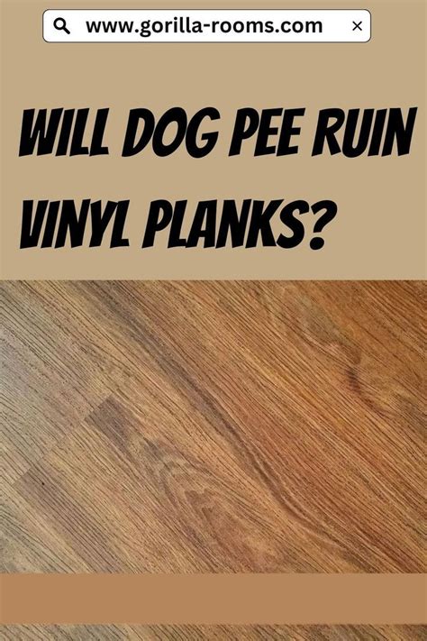 Can dog pee ruin vinyl floor?