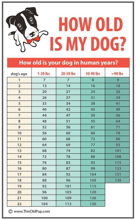 Can dogs be 15?