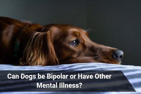 Can dogs be bipolar?