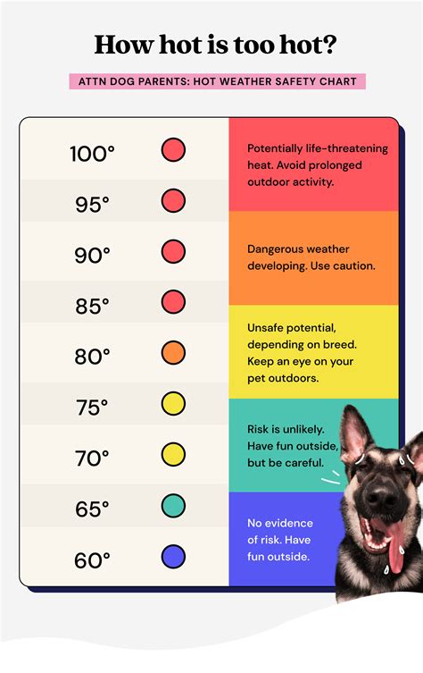 Can dogs be out in 25 degrees?