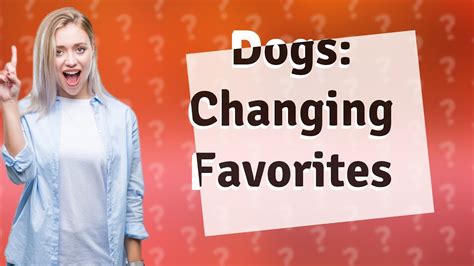 Can dogs change their favorite person?