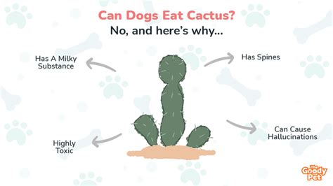 Can dogs eat cactus plants?