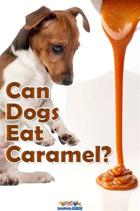 Can dogs eat caramel?