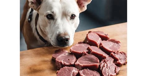 Can dogs eat cow heart?