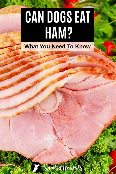 Can dogs eat ham?
