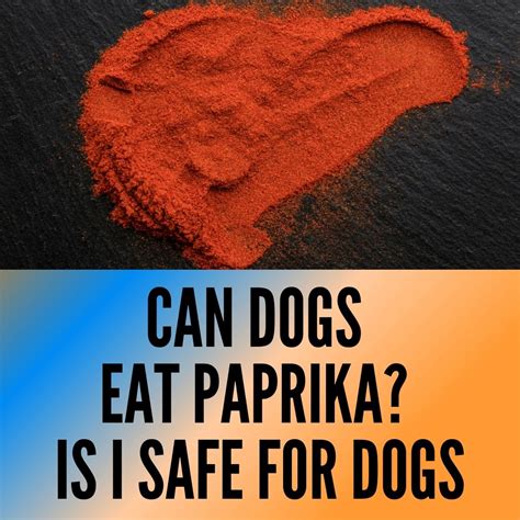 Can dogs eat paprika?