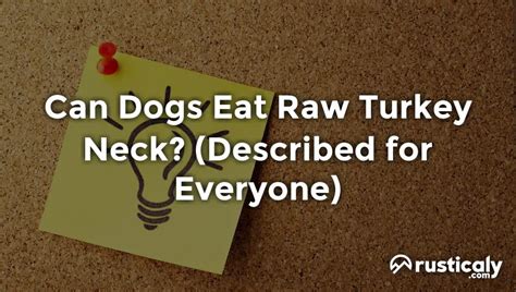 Can dogs eat raw turkey?