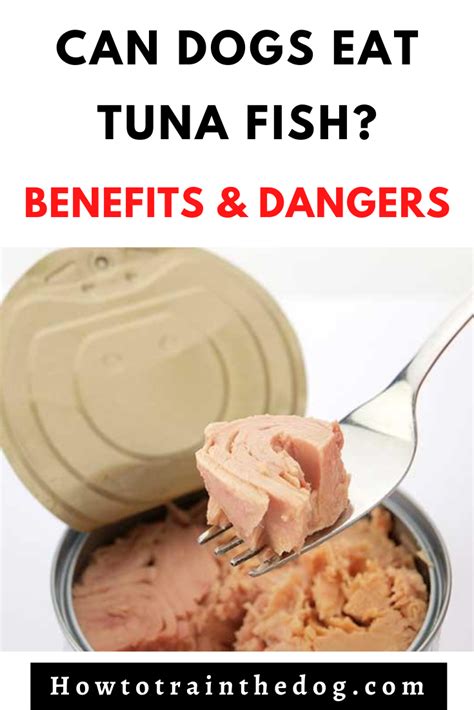 Can dogs eat tuna?